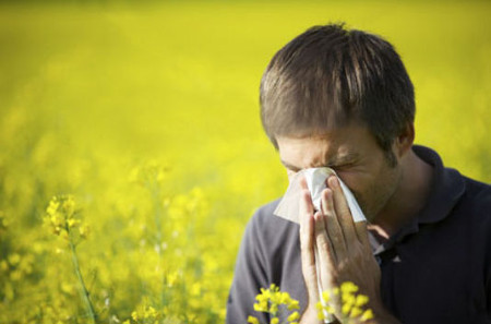 Allergie